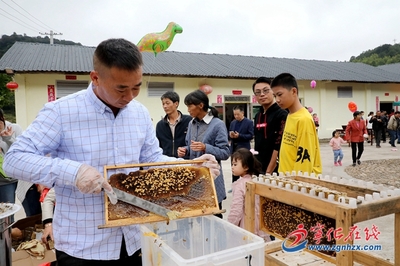 采蜂蜜、品小吃,宁化这个乡的文化节甜蜜来袭